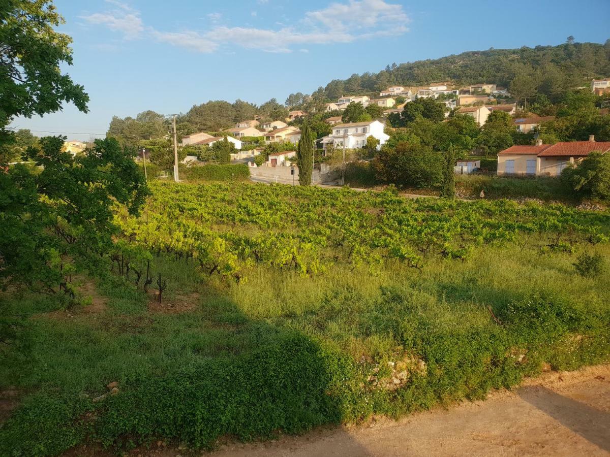 Villa Marie - Provence Cote D'Azur Cabasse 외부 사진